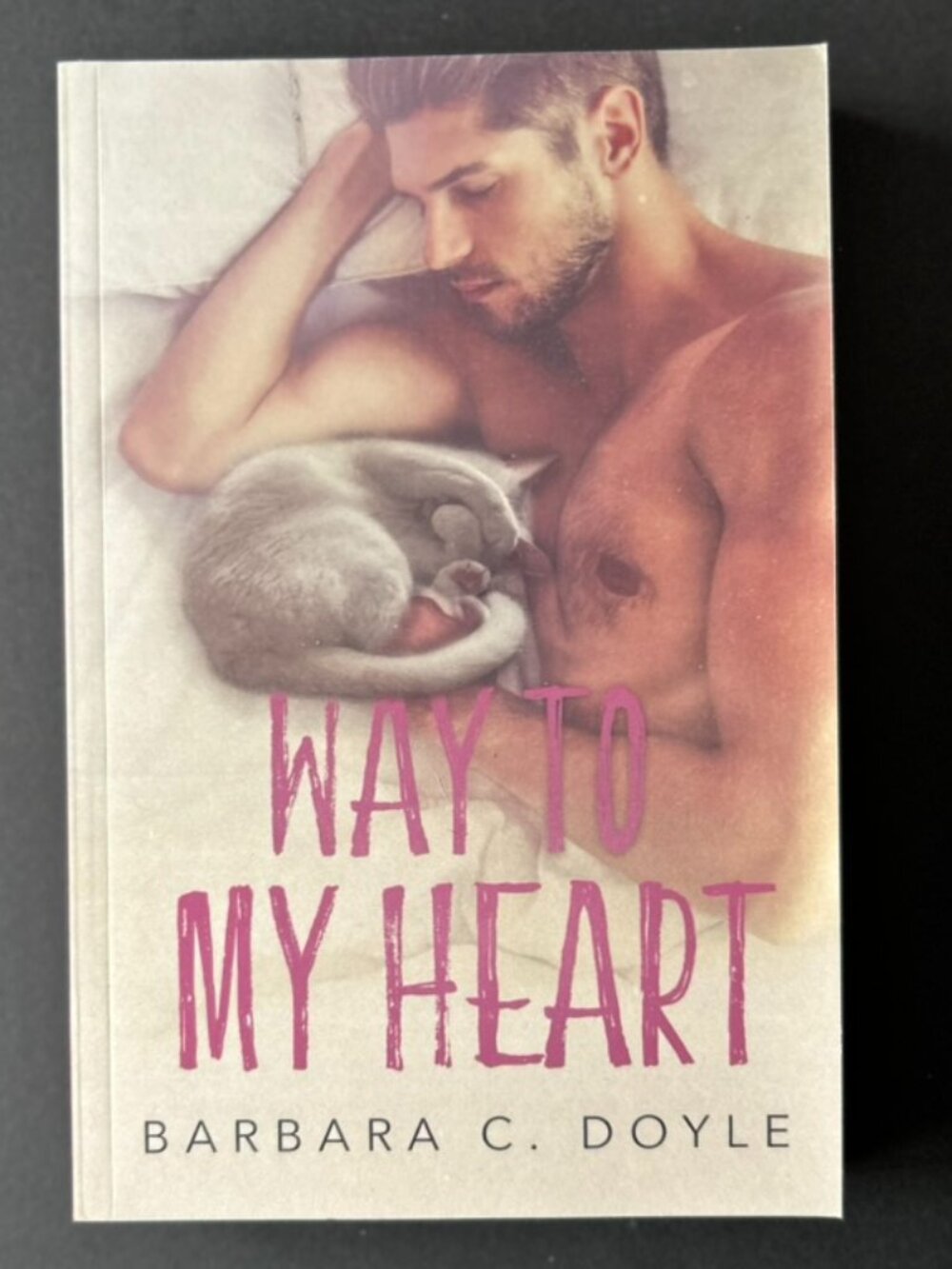 4 for $20 📚 | Way to My Heart by Barbara C. Doyle | SIGNED | Paperback Book